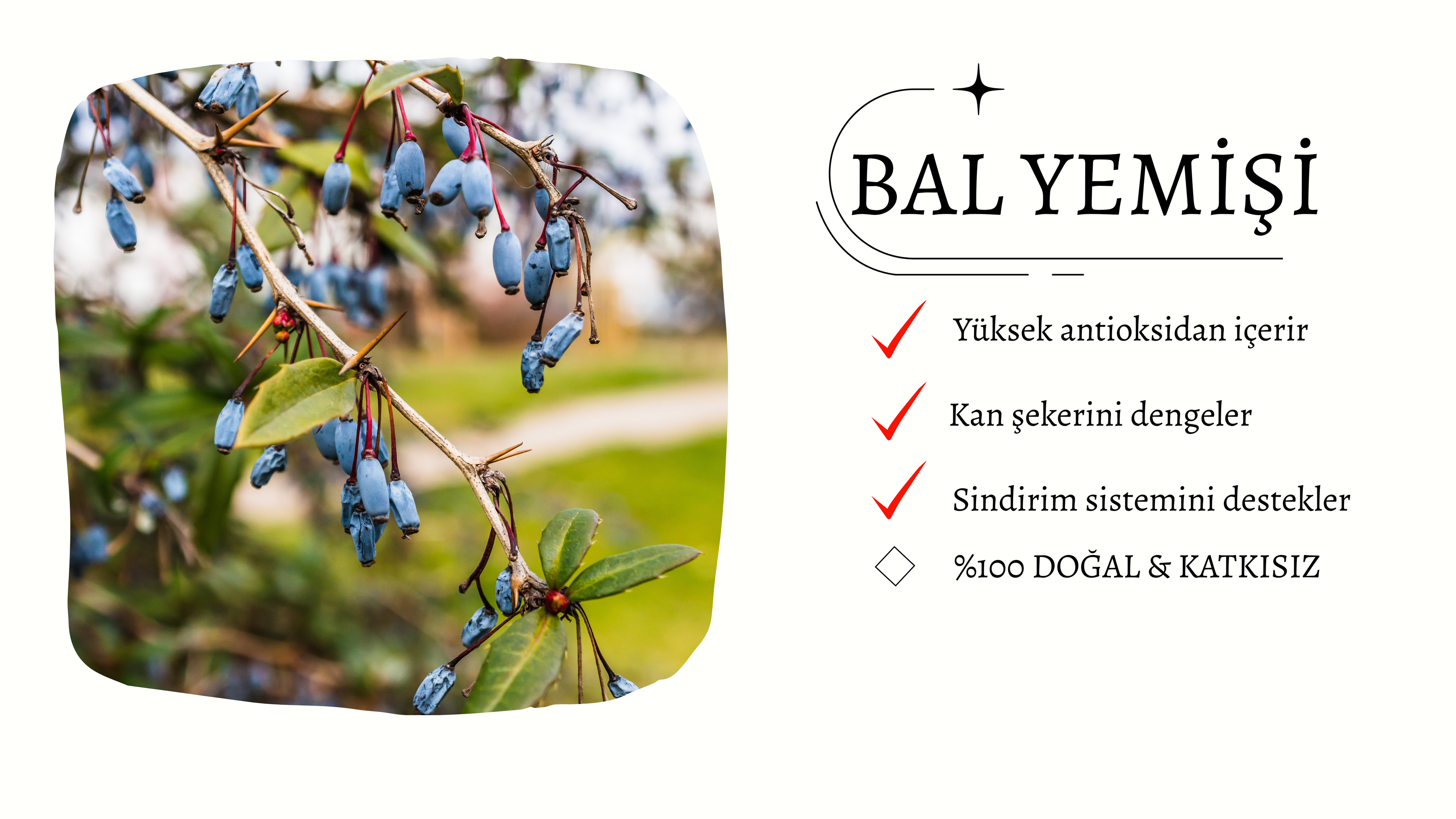 slider image slider_item_AUcjCK