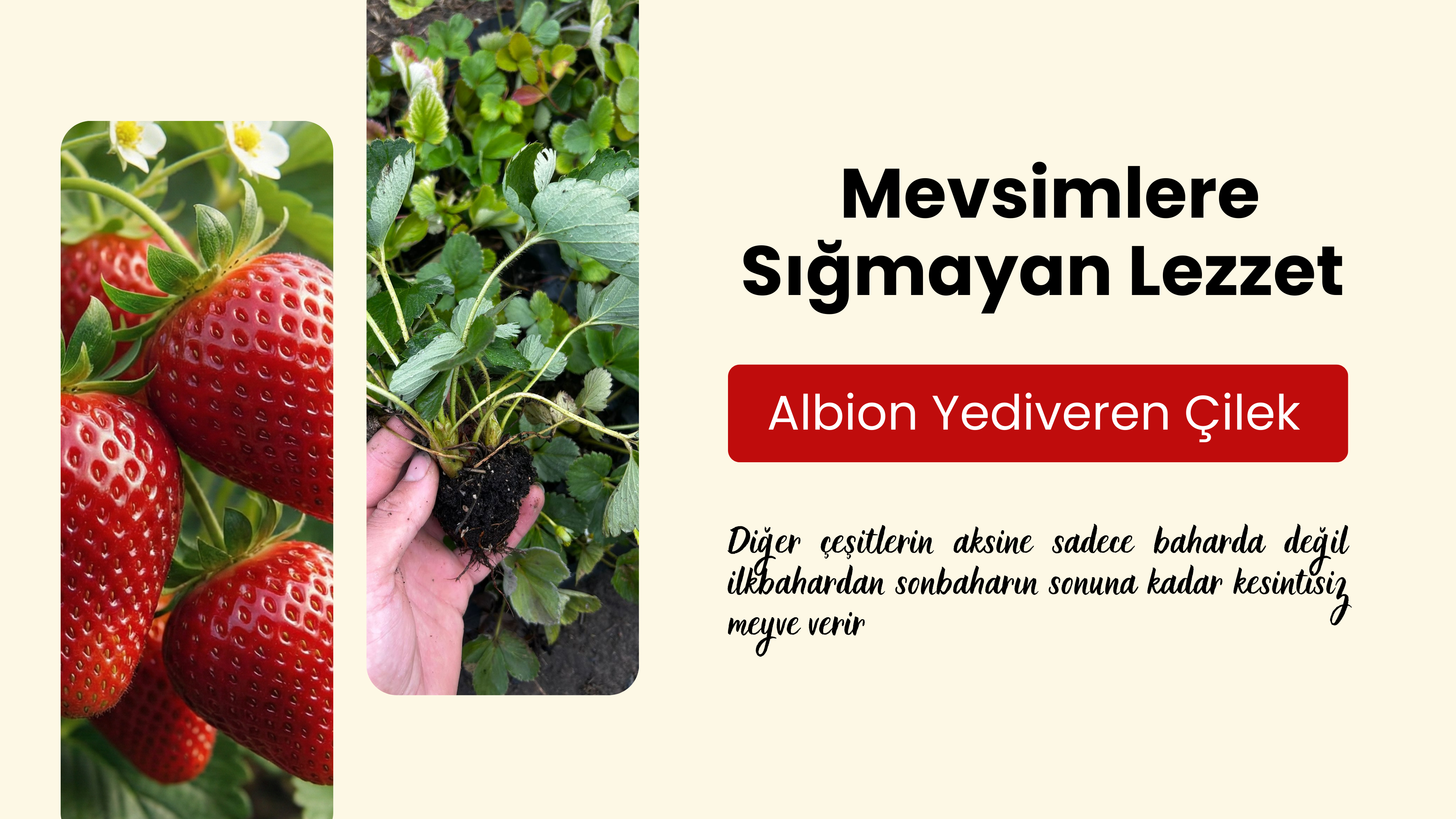 slider image 1621243260e1af0c20-0