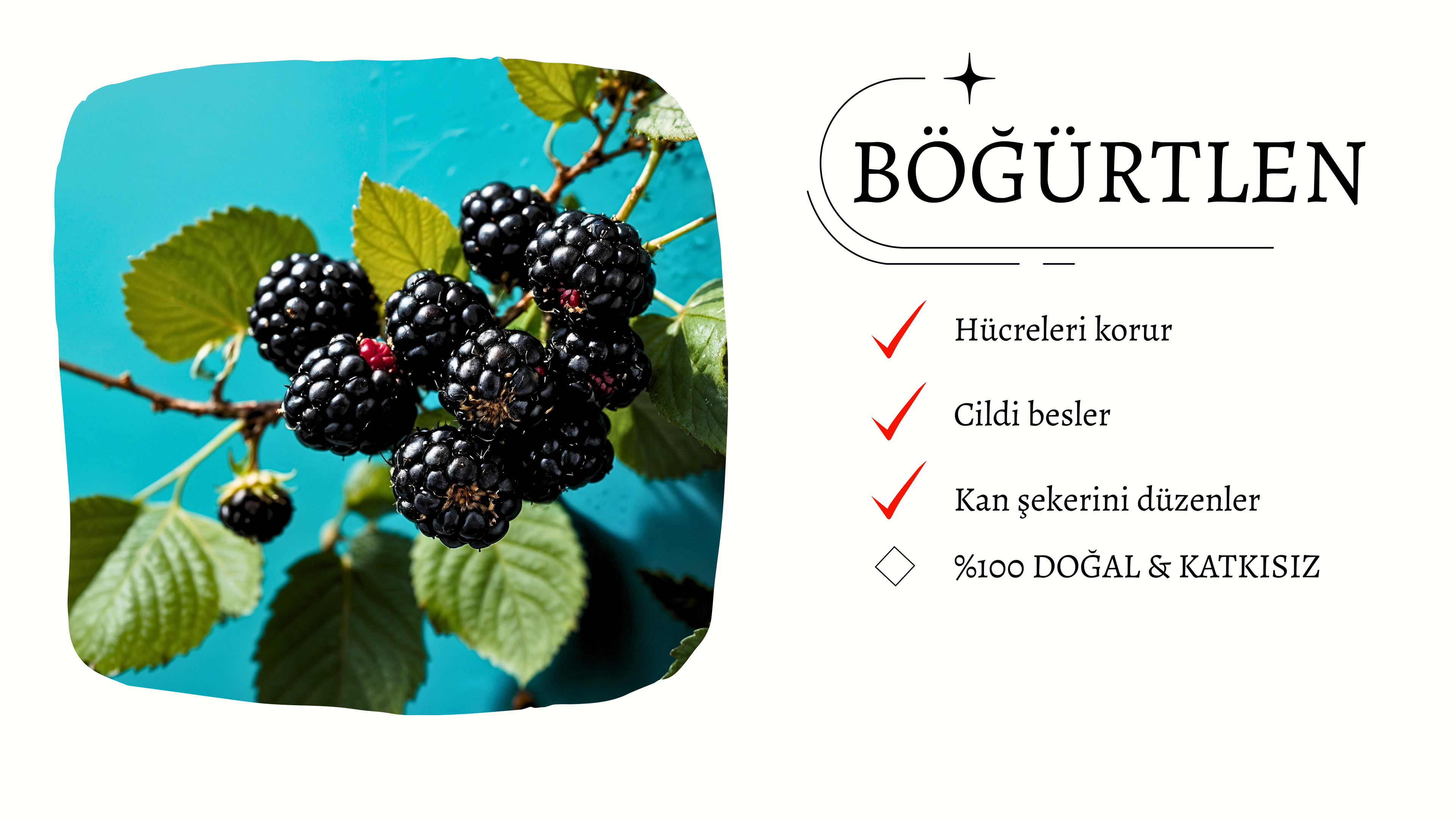 slider image slider_item_8HcKWV