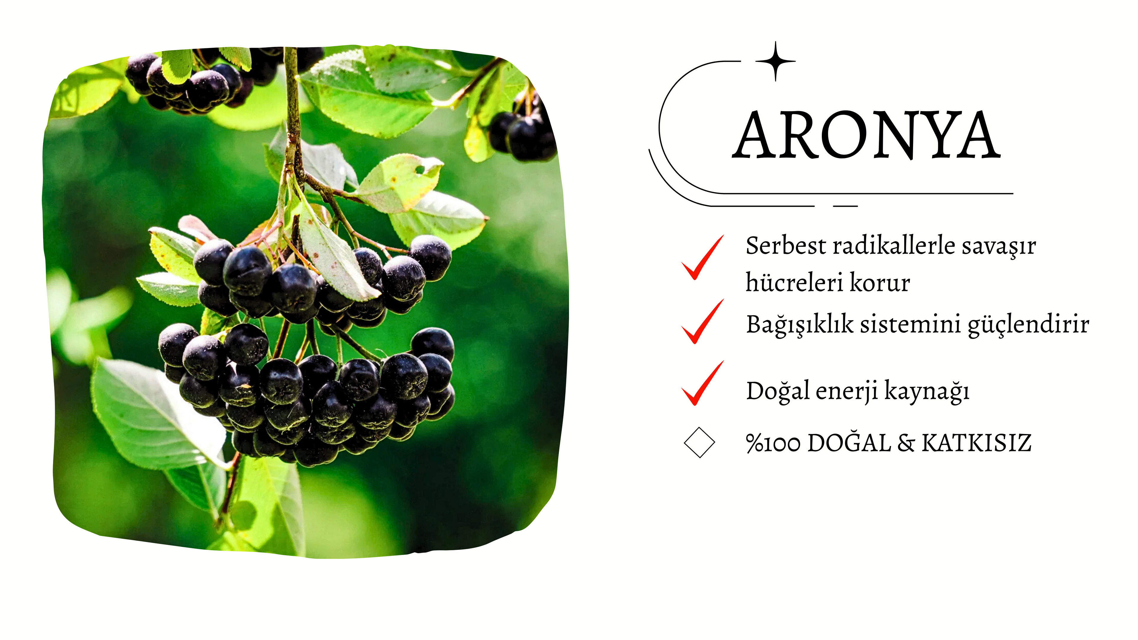 slider image slider_item_4R7hne