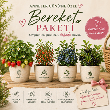 Anneler Gününe Özel 4 Fidan Paketi