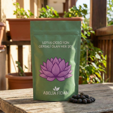 Abelia® Lotus Yetiştirme Kiti