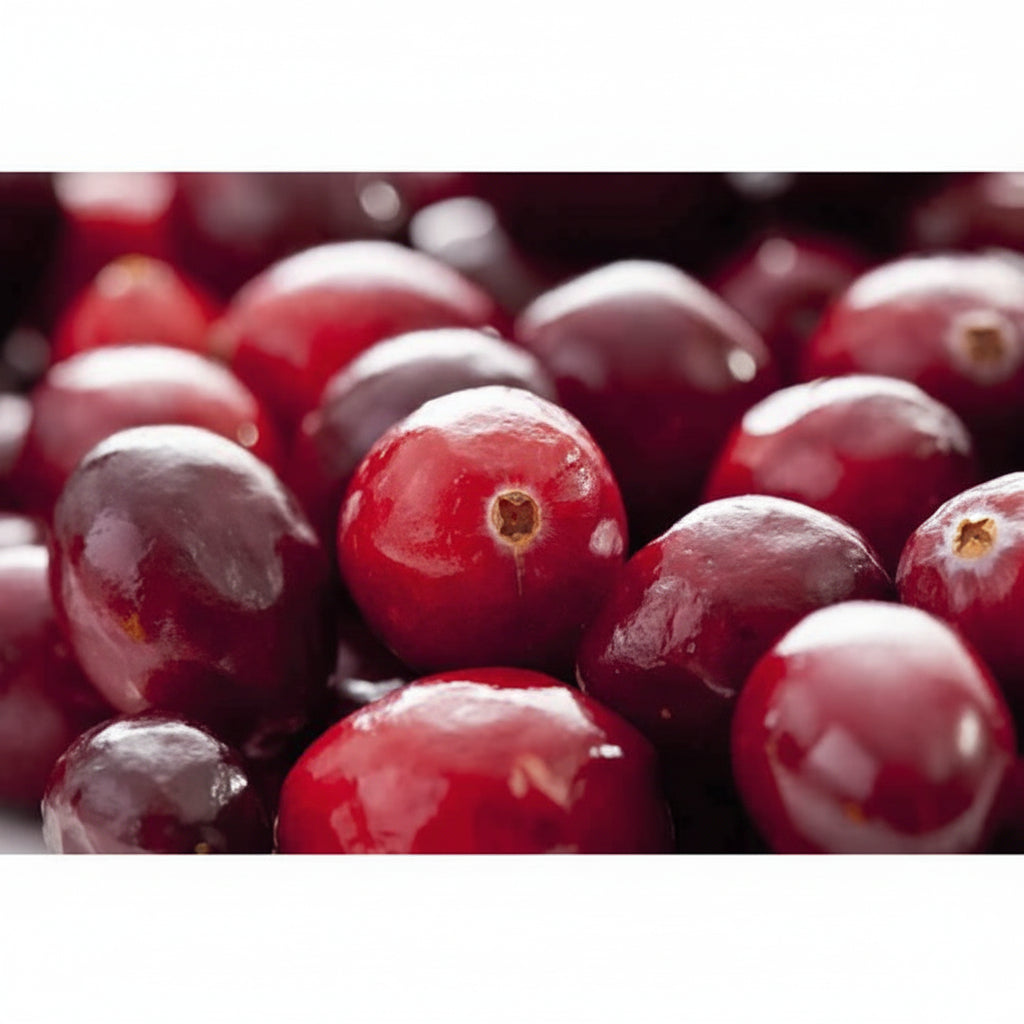 2 Yaşında Turna yemişi 15-25 cm