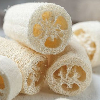 Lif Kabağı Tohumu Paketi